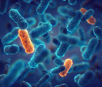 Antimicrobial-Resistance