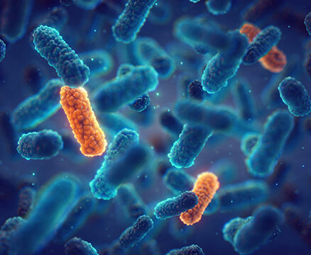Antimicrobial-Resistance