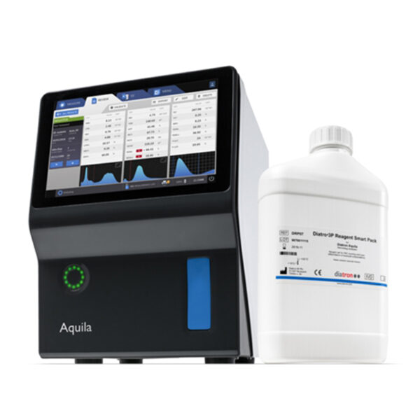 aquila