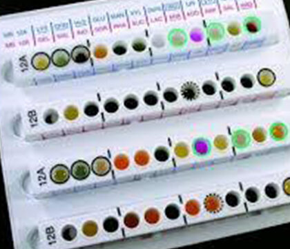 ID-kits